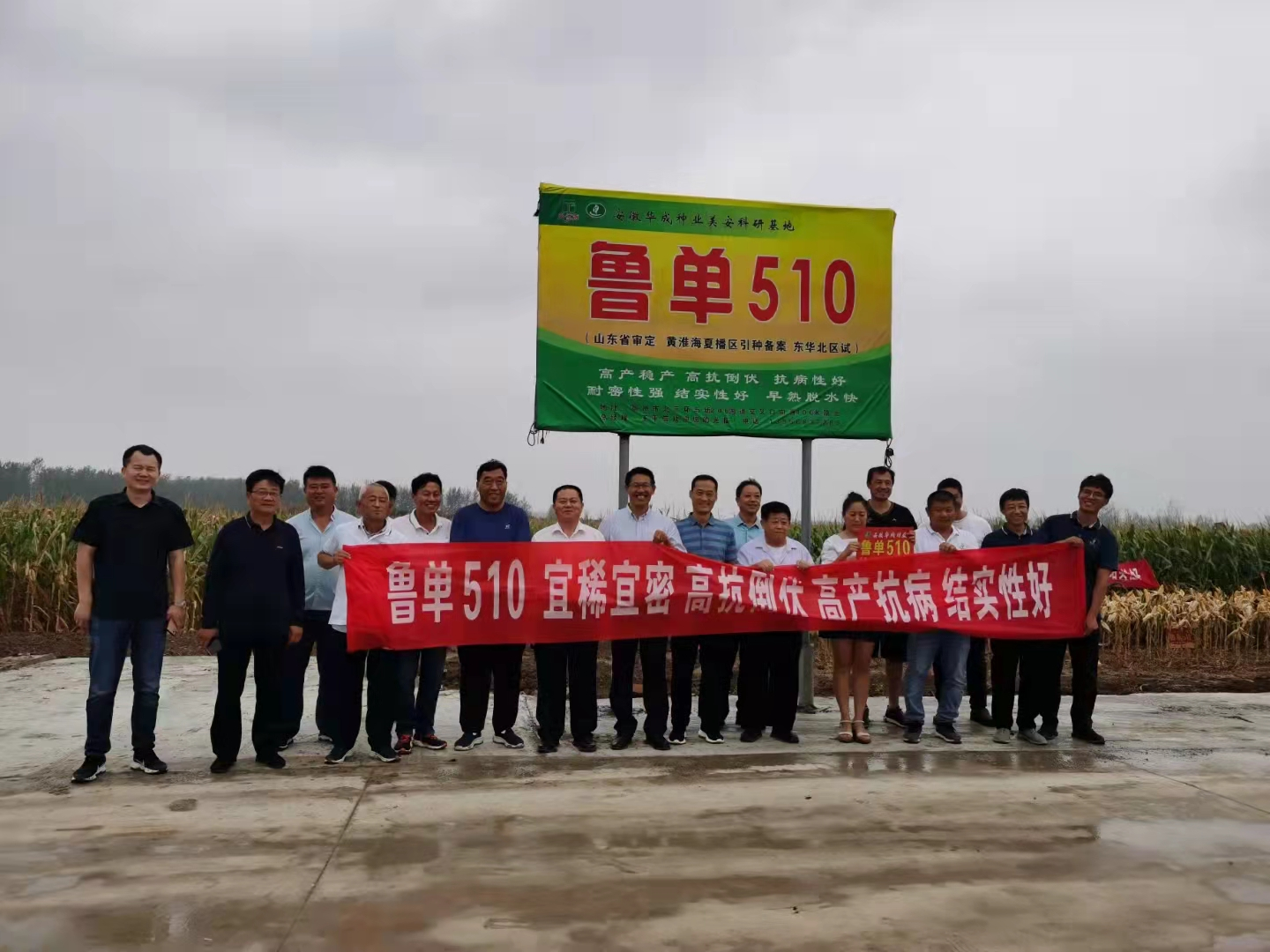 圖片3.png 圖片3.png